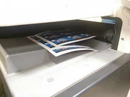 Цифровая печать от 1 экз  формат 300х430